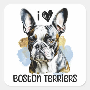 I Love Boston Terriers  Square Sticker
