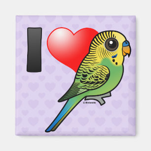 I Love Budgies Magnet