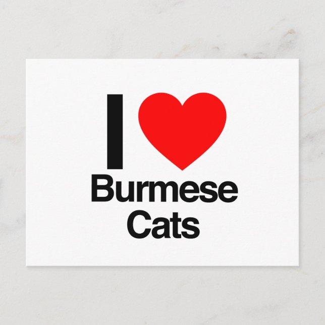 i love burmese cats postcard (Front)