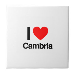i love cambria tile