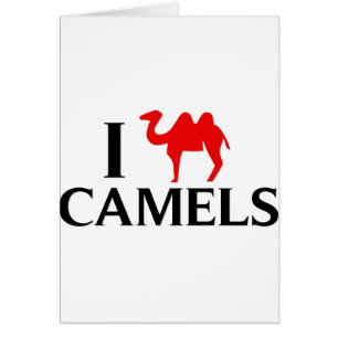 I Love Camels