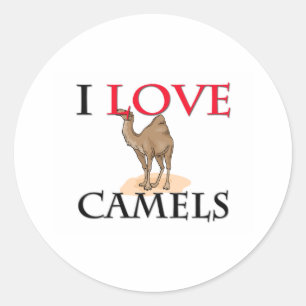 I Love Camels Classic Round Sticker