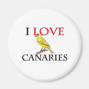 I Love Canaries Magnet