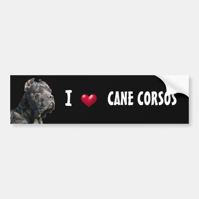 I Love Cane Corsos bumper sticker (Front)