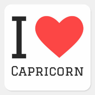 I love Capricorn  Square Sticker