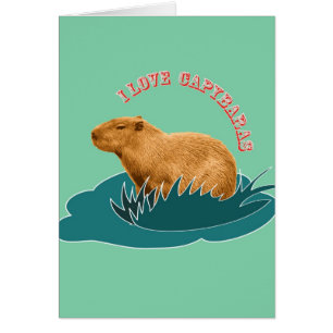 I Love Capybaras