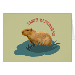 I love capybaras