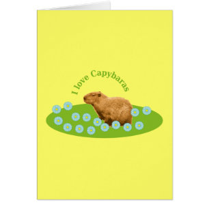 I love Capybaras