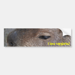 I love capybaras bumper sticker