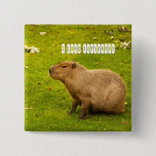 I love Capybaras Button
