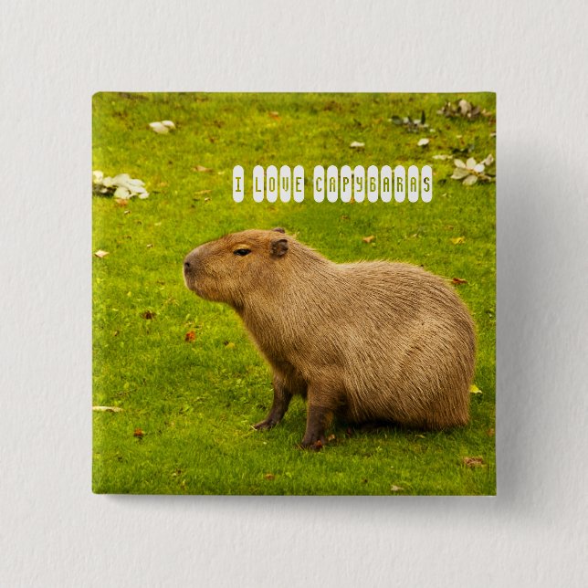 I love Capybaras Button (Front)