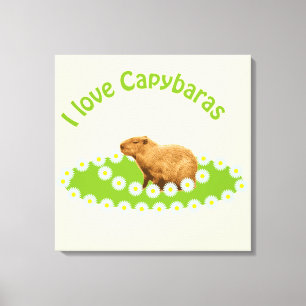 I love Capybaras Canvas Print
