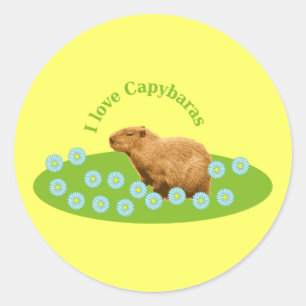 I love Capybaras Classic Round Sticker