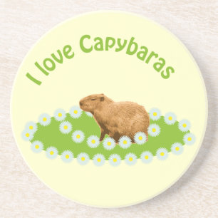 I love Capybaras Coasters
