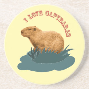 I Love Capybaras Cute Capybara Lover Coaster