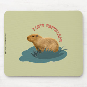 I Love Capybaras Cute Capybara Lover Mouse Pad
