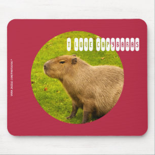 I love Capybaras Mousepad