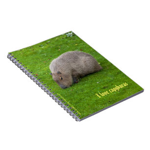 I love capybaras Notebook