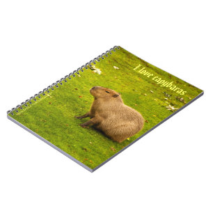 I love capybaras Notebook