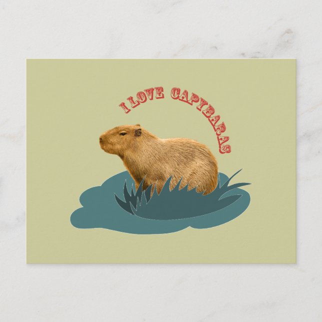 I love capybaras postcard (Front)