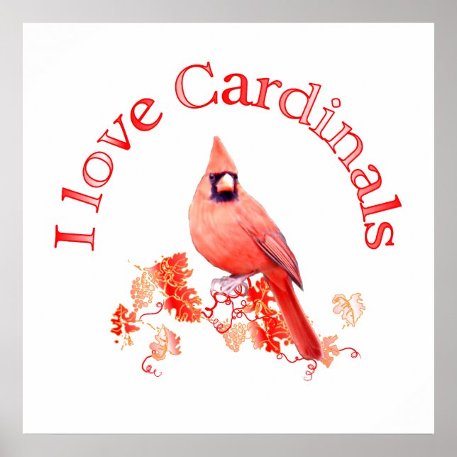 I Love Cardinals Poster (Front)
