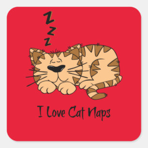 I Love Cat Naps, Square Sticker