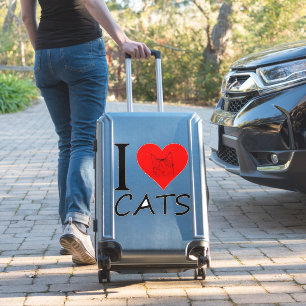 I love Cats