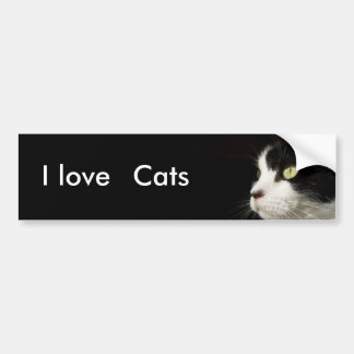 I love, Cats bumper sticker