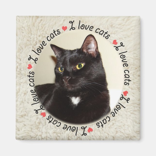 I Love Cats Magnet (Front)