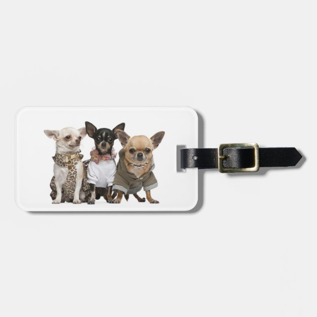 I love Chihuahuas Luggage Tag (Front Horizontal)