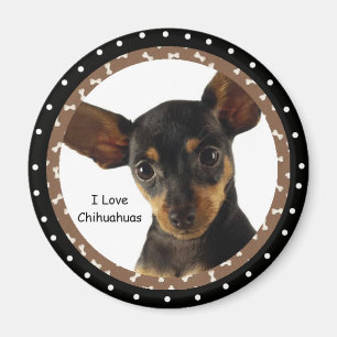 I love Chihuahuas Magnet