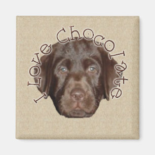 I Love Chocolate Magnet