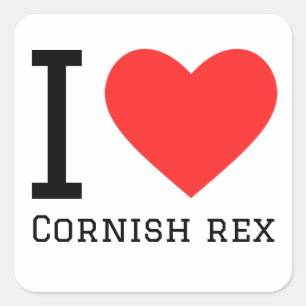 I love cornish Rex  Square Sticker