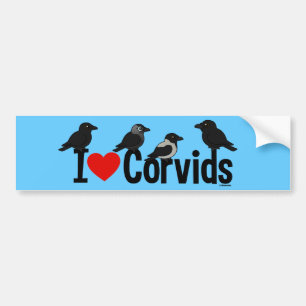 I Love Corvids Bumper Sticker