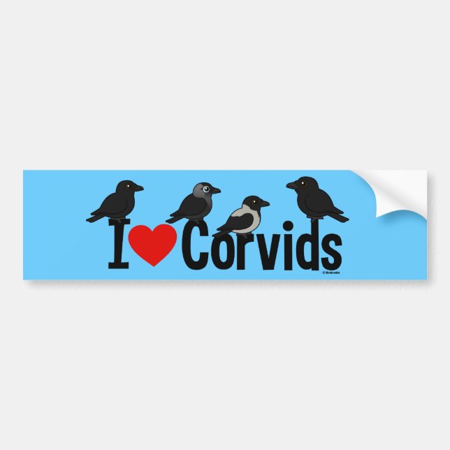 I Love Corvids Bumper Sticker (Front)
