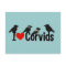 I Love Corvids