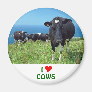 I Love Cows Magnet