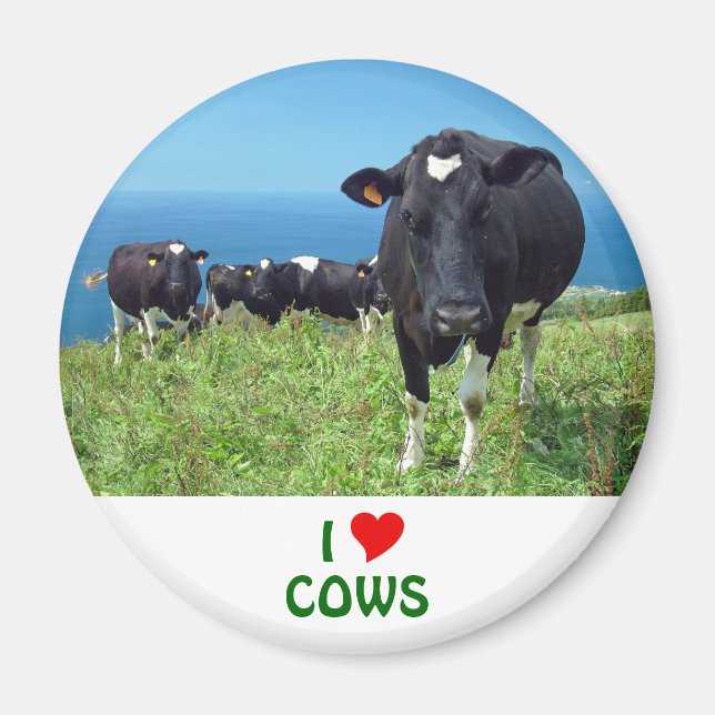 I Love Cows Magnet (Front)
