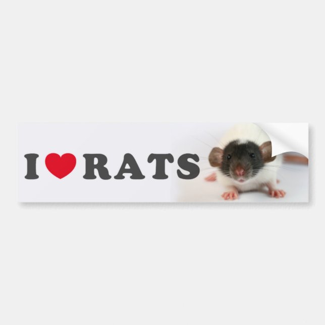 I love (cute) Rats Bumper Sticker (Front)