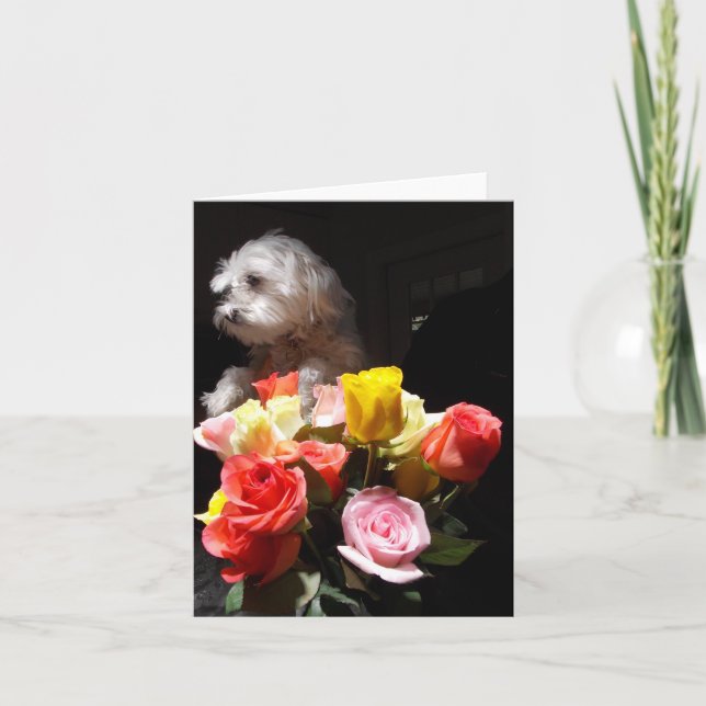I Love Daisy Holiday Card (Front)