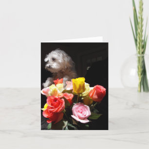 I Love Daisy Holiday Card
