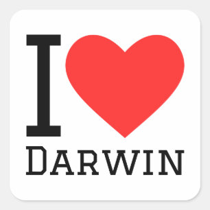 I love Darwin  Square Sticker