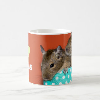I Love Degus Coffee Mug