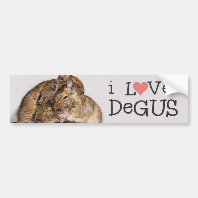 I Love Degus - Degu Pile Bumper Sticker (Front)