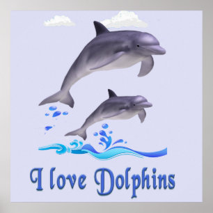   I love Dolphins Poster