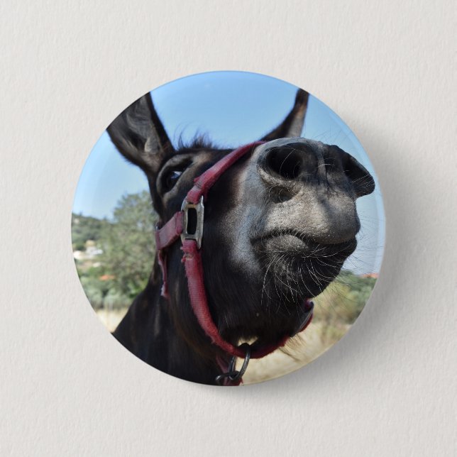 I Love Donkeys! 6 Cm Round Badge (Front)