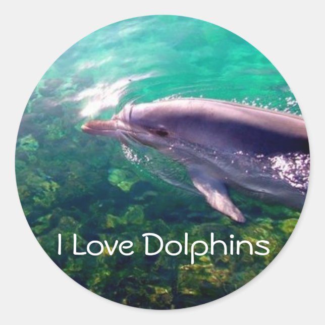 I Love Dophins Sticker (Front)