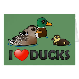 I Love Ducks