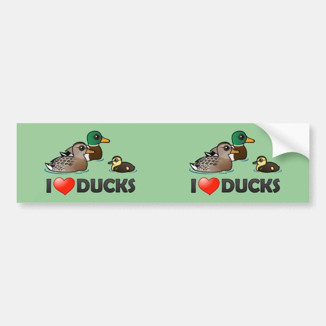 I Love Ducks Bumper Sticker (Front)