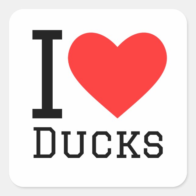 I love ducks  square sticker (Front)